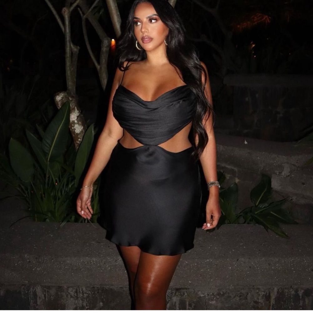 NWT zara dress